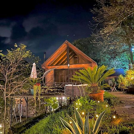 Woodpecker Georgia Hotel บาทูมิ ภายนอก รูปภาพ